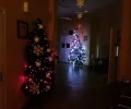 Zdjęcie z galerii